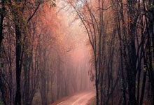 贝尔格莱德全队齐心协力，誓取晋级