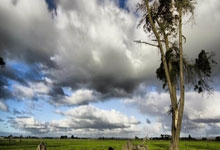 骑士不敌步行者，遭遇两连败：当梦想遭遇现实的冰冷