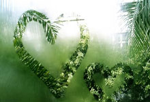 弗赖堡：绿茵场上的不屈之狮，主场不败传奇的铸就者