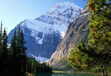 利兹联不敌水晶宫，遗憾遭遇两连败，白衣军团急需止颓之路