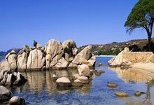 逐浪而歌：赛艇中的速度与激情，人生奋斗的缩影