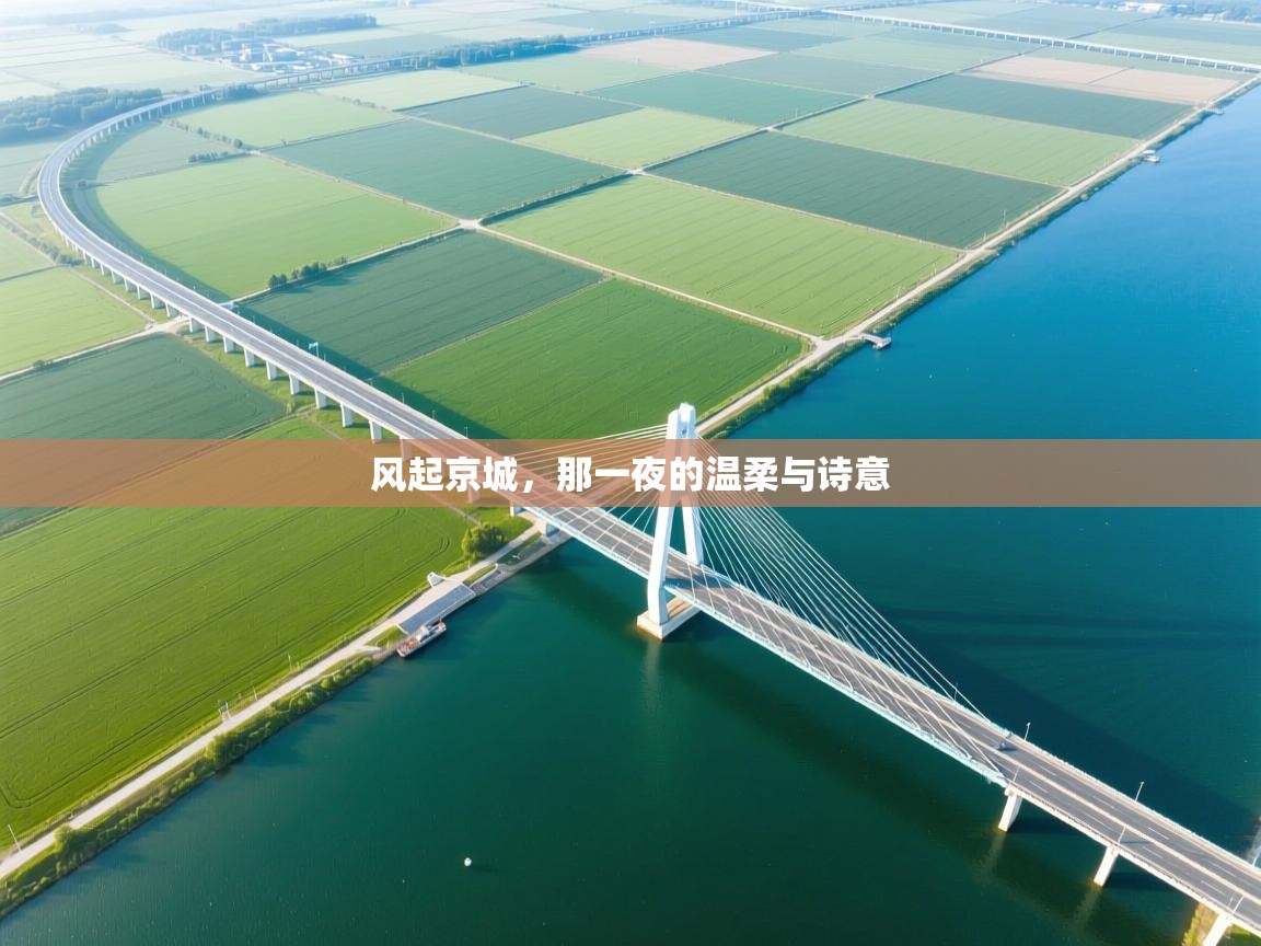 风起京城，那一夜的温柔与诗意  第2张
