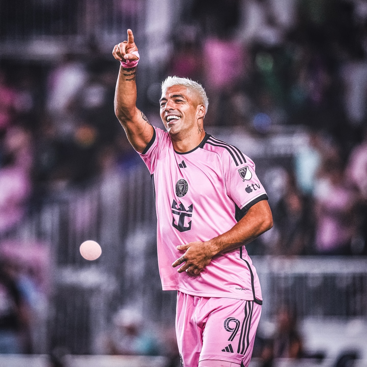 包含苏亚雷斯转会至意甲球队,球迷期待他的表现的词条 包含苏亚雷斯转会至意甲球队,球迷期待他的表现的词条