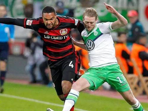 包含勒沃库森主场迎战，球迷热情助威的词条