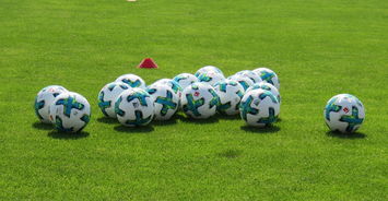 爱游戏app-沙尔克04主场迎战弗赖堡，实力对比呈现谁能更胜一筹